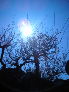 20110331174419.jpg