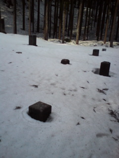 20110404183208.jpg