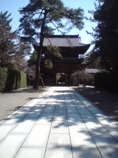 20110406233724.jpg