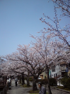 20110414075603.jpg