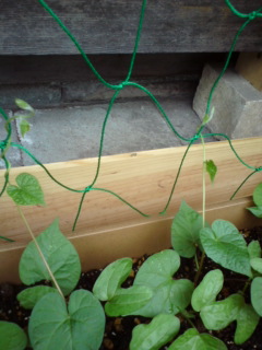 20110625113606.jpg