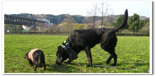 blog taitle