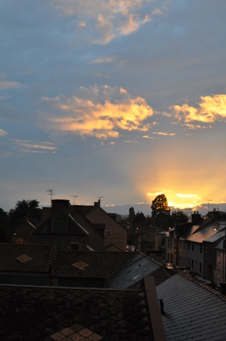 DSC_0346.JPG