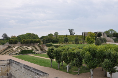 DSC_0245.JPG