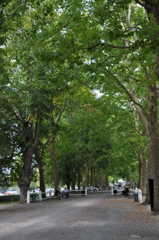 DSC_0261.JPG