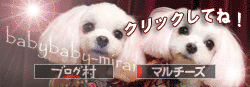 ¤Ë¤Û¤ó¥Ö¥í¥°Â¼ ¸¤¥Ö¥í¥° ¥Þ¥ë¥Á¡¼¥º¤Ø