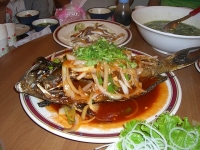 taiwan