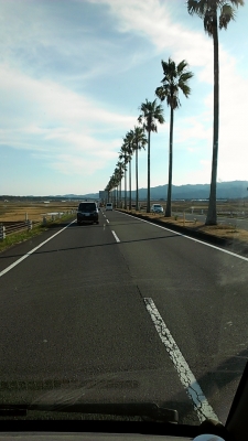 miyazaki