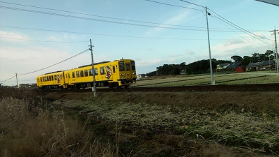 miyazaki