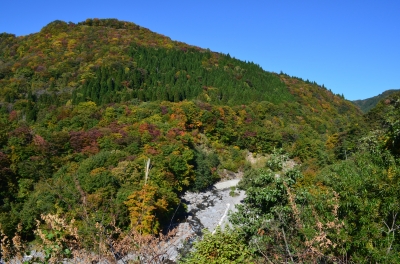吉田川