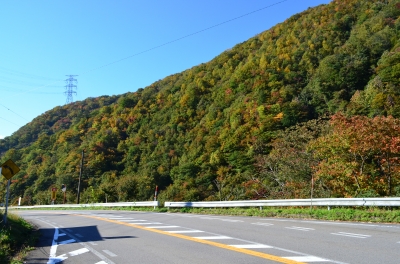 せせらぎ街道