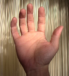 誠実、感謝。の手。