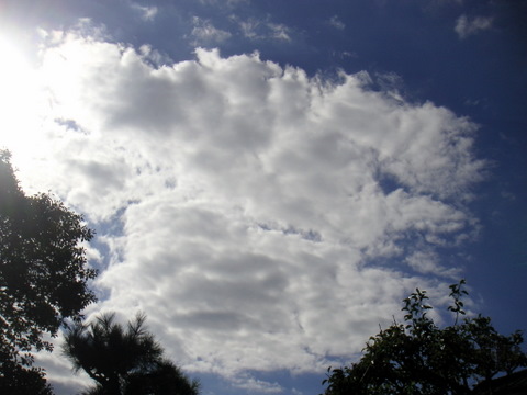 空を見上げる。
