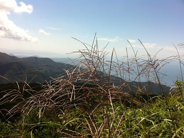 秋の登山路