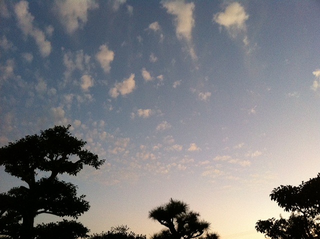 秋の空