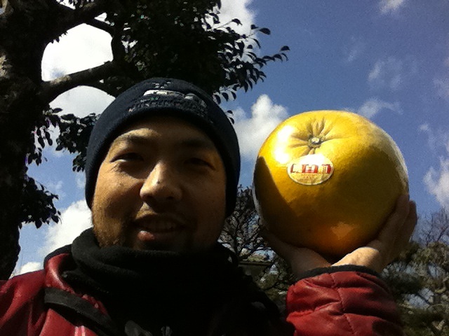 ばんぺいゆ(晩白柚)はザボンの一種です。