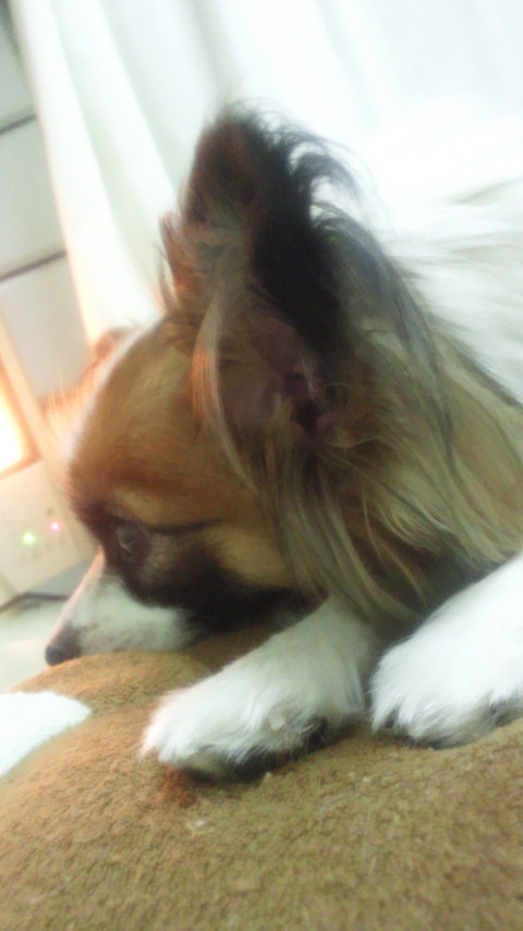 2011010423200001.jpg