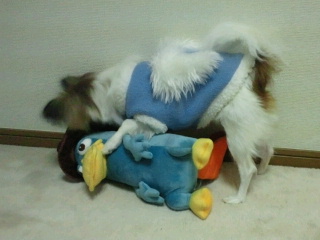 2011020310500000.jpg