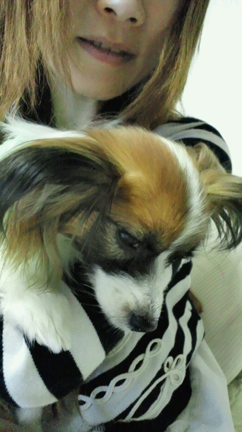 2011040300430000.jpg