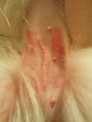 2011041023590000.jpg