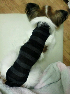 2011041101420000.jpg