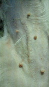 2011041322240000.jpg