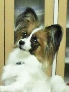 image.jpg