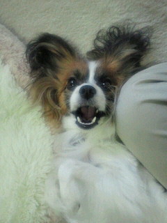 2011052320010000.jpg