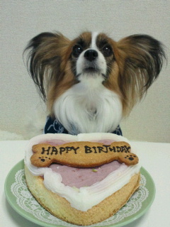 2012030717310000.jpg