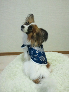 2012030815410000.jpg
