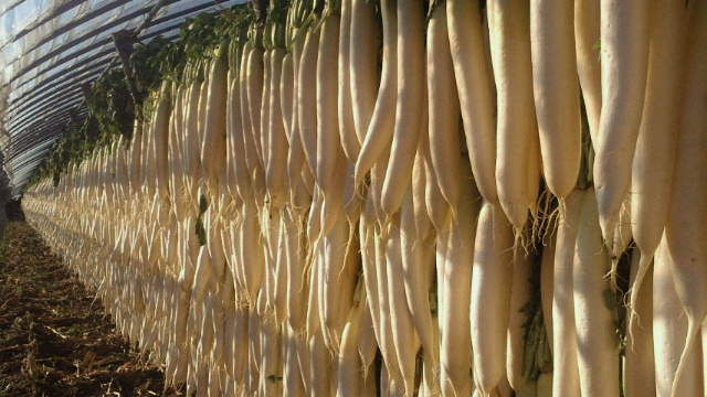 2011112620120000.jpg