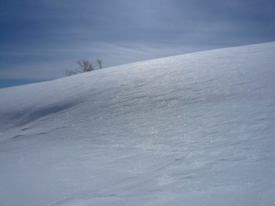 千畳敷の雪原