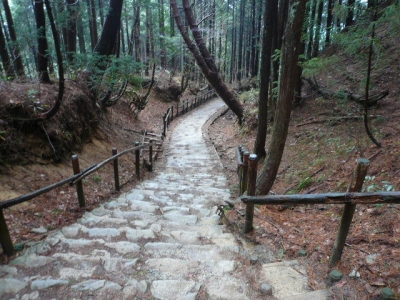 千早本道2