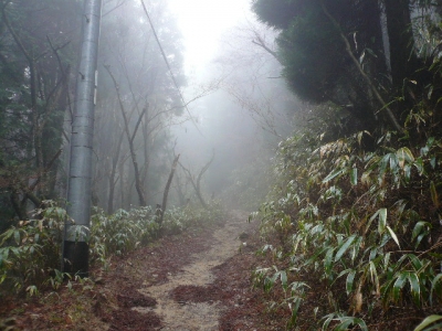 金剛山遊歩道