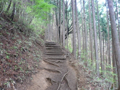 日の出山登山道