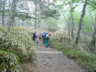 大菩薩嶺 登山者