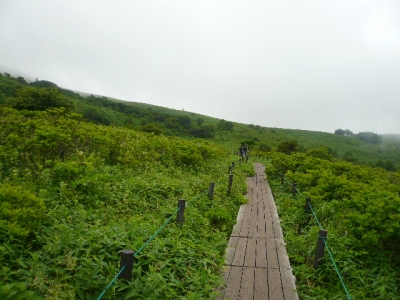 車山湿原木道