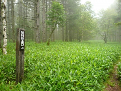 蓼科山登山道入り口