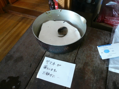 夏沢鉱泉 やまね