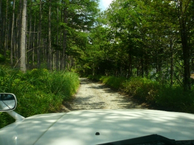 タクシー 悪路
