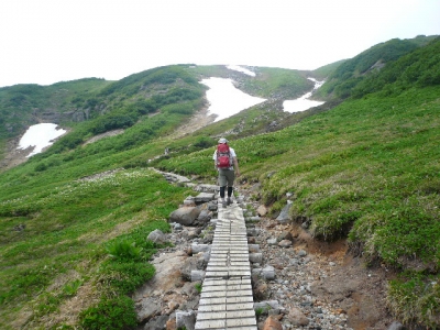 奥大日岳 木道
