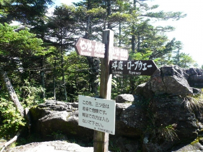 三ッ岳分岐