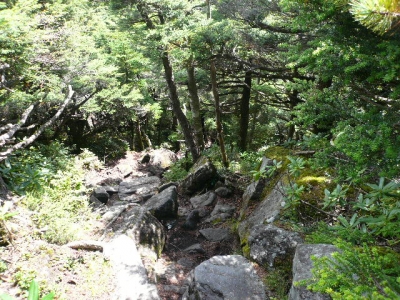 三ツ岳〜雨池山