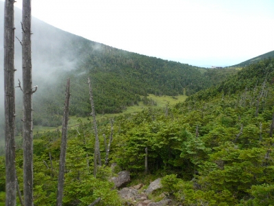 縞枯山荘への道