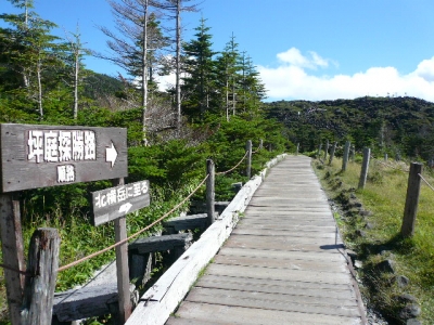 坪庭入口付近木道