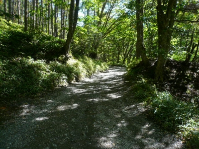 美濃戸への悪路