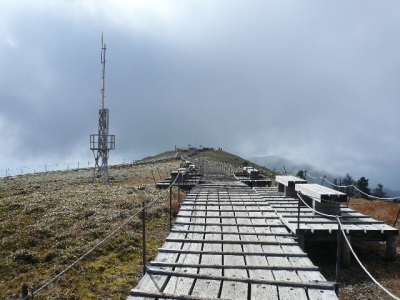 剣山山頂 付近