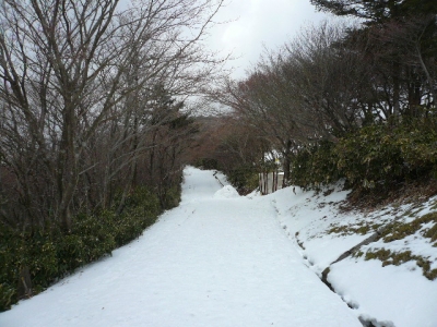 御在所山頂へと続き雪道
