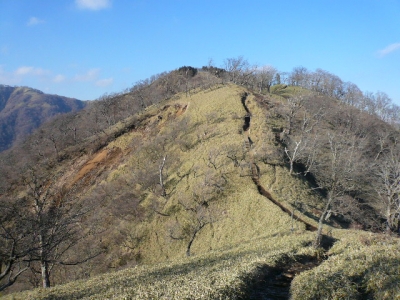 塔の岳〜丹沢山