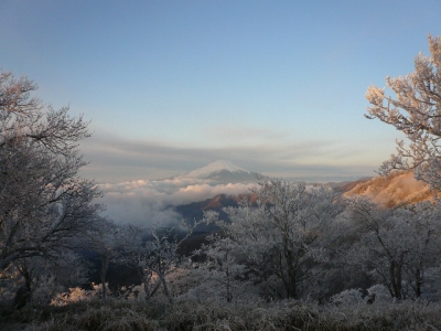 丹沢山山頂から富士山